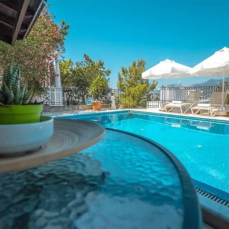 Leila Private Pool * Αλικαρνασσός