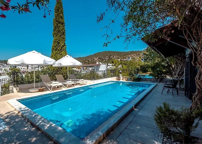 Villa Leila Private Pool Bodrum