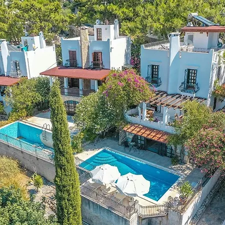 Vila Leila Private Pool